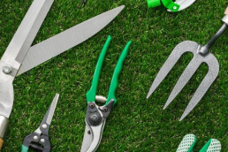 Gardening tools laid out on the greenest grass