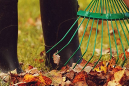Raking leaves in Autumn