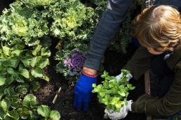 young boy potting plants