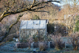 a greenhouse in a frosty winter garden