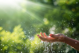 A hand catches water in a garden